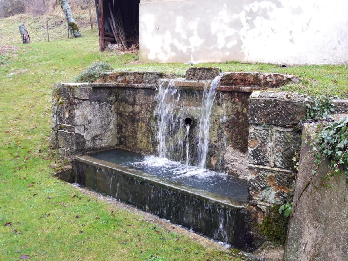 Gite Au Pied Du Mont Lozere 3 Mas-dʼOrcières Eksteriør billede